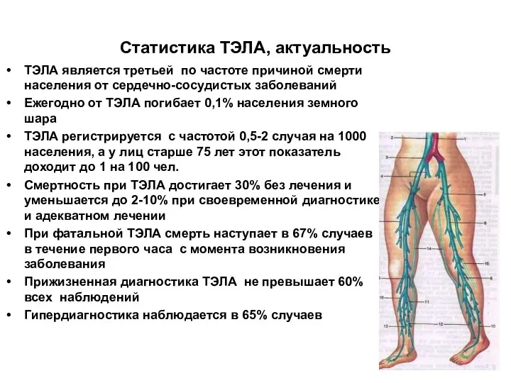 Статистика ТЭЛА, актуальность ТЭЛА является третьей по частоте причиной смерти населения