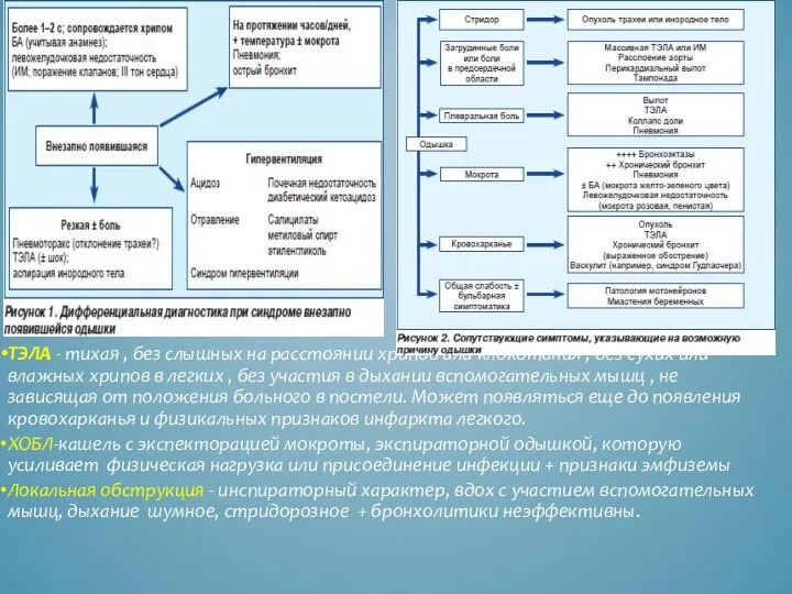 Ба ТЭЛА - тихая , без слышных на расстоянии хрипов или