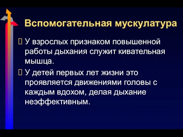 Вспомогательная мускулатура У взрослых признаком повышенной работы дыхания служит кивательная мышца.