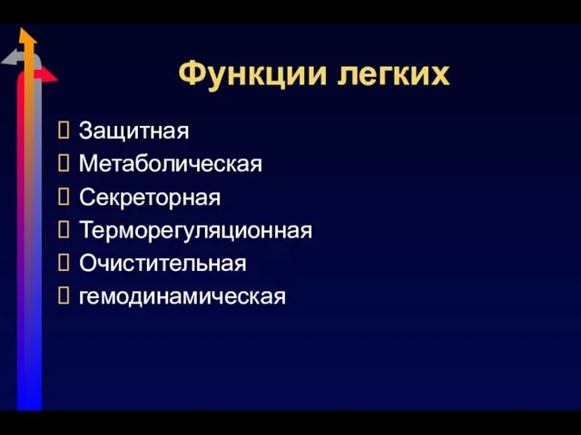 Функции легких Защитная Метаболическая Секреторная Терморегуляционная Очистительная гемодинамическая