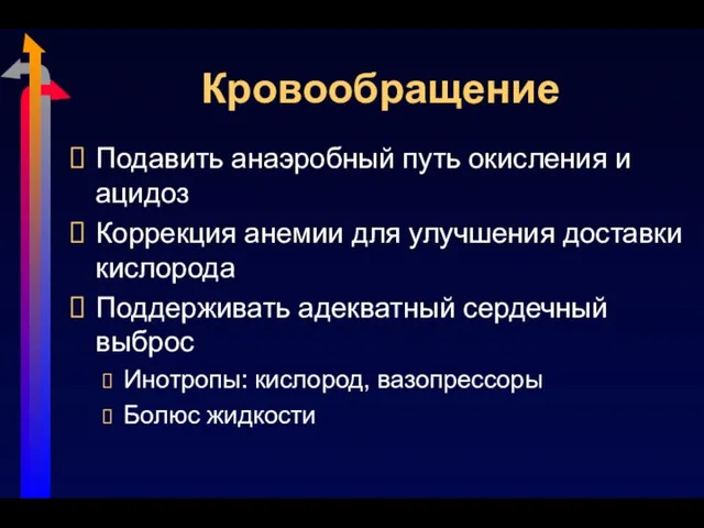 Кровообращение Подавить анаэробный путь окисления и ацидоз Коррекция анемии для улучшения