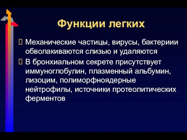 Функции легких Механические частицы, вирусы, бактериии обволакиваются слизью и удаляются В