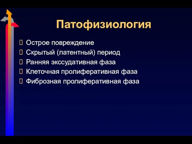 Патофизиология Острое повреждение Скрытый (латентный) период Ранняя экссудативная фаза Клеточная пролиферативная фаза Фиброзная пролиферативная фаза