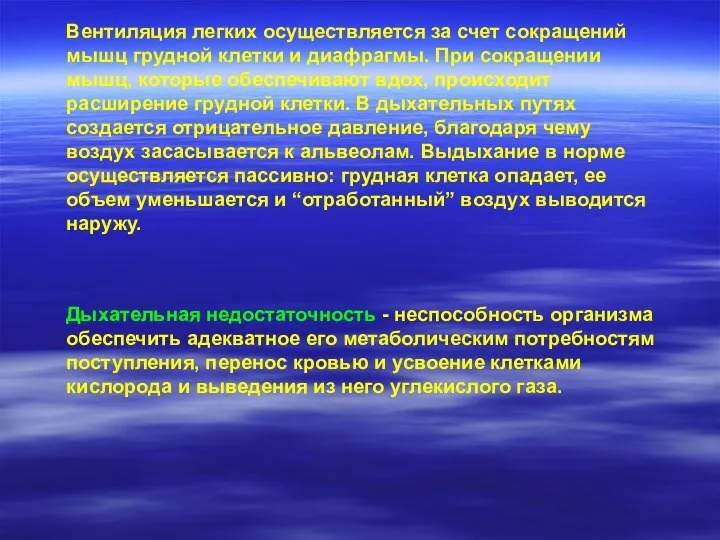 Вентиляция легких осуществляется за счет сокращений мышц грудной клетки и диафрагмы.