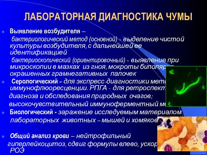 ЛАБОРАТОРНАЯ ДИАГНОСТИКА ЧУМЫ Выявление возбудителя – бактериологический метод (основной) - выделение