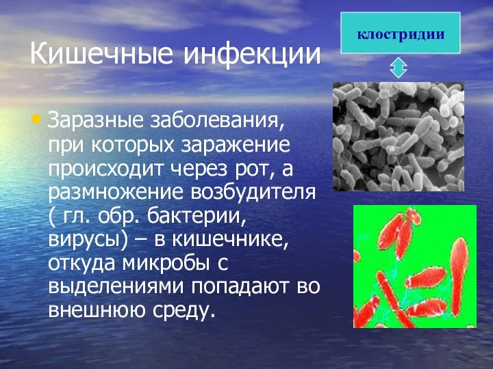 Кишечные инфекции Заразные заболевания, при которых заражение происходит через рот, а