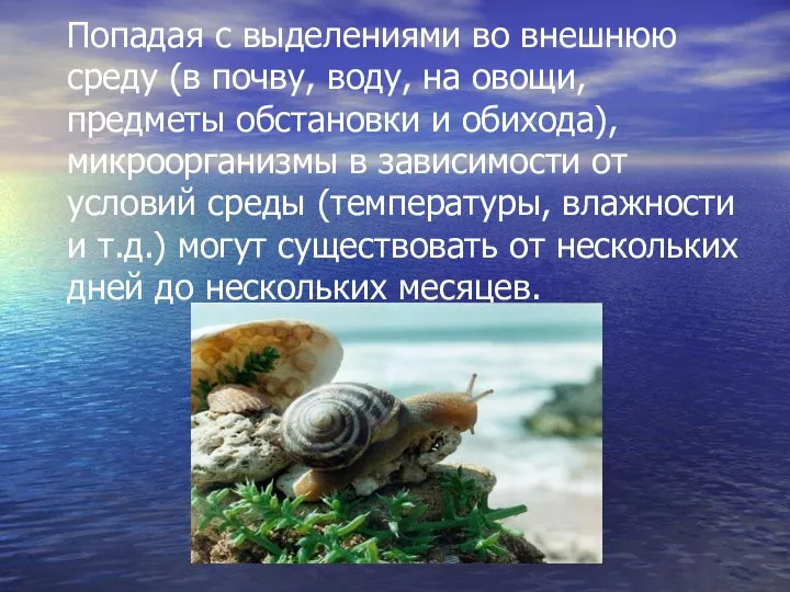 Попадая с выделениями во внешнюю среду (в почву, воду, на овощи,