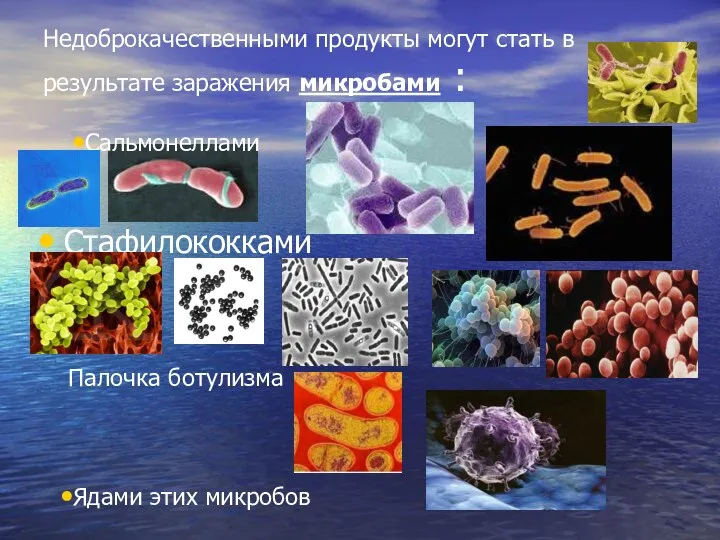 Недоброкачественными продукты могут стать в результате заражения микробами : Стафилококками Сальмонеллами Ядами этих микробов Палочка ботулизма