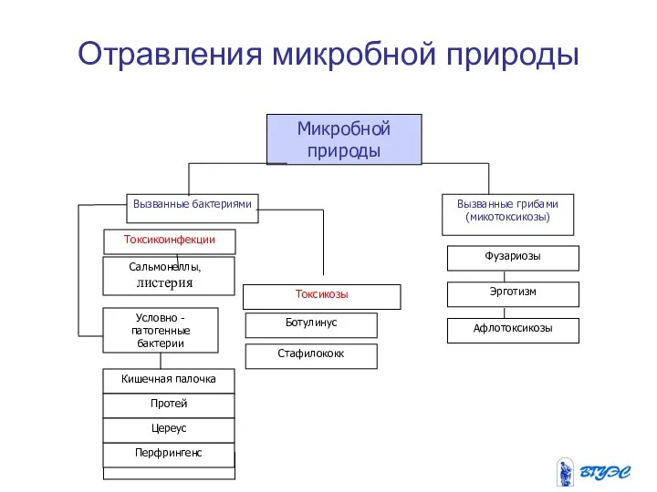 Микробной природы Вызванные бактериями Вызванные грибами (микотоксикозы)‏ Фузариозы Токсикоинфекции Сальмонеллы, листерия