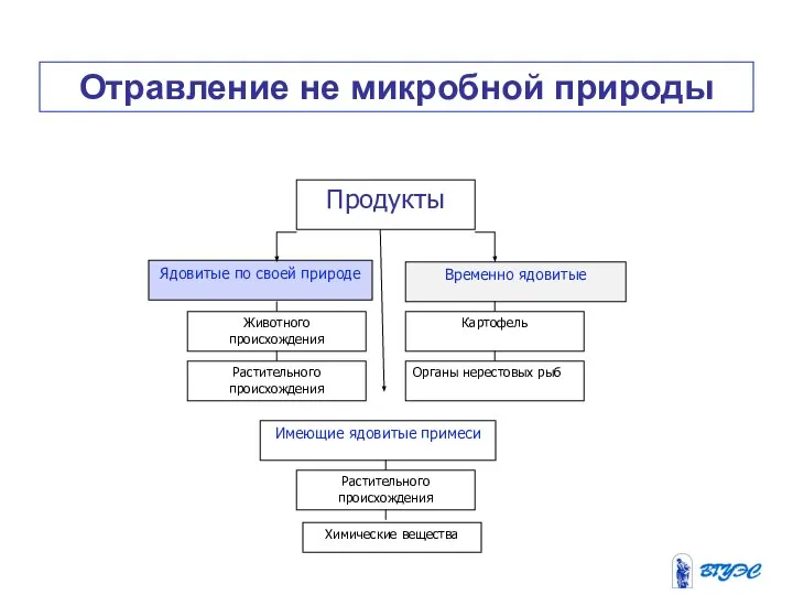 Отравление не микробной природы Продукты Ядовитые по своей природе Временно ядовитые