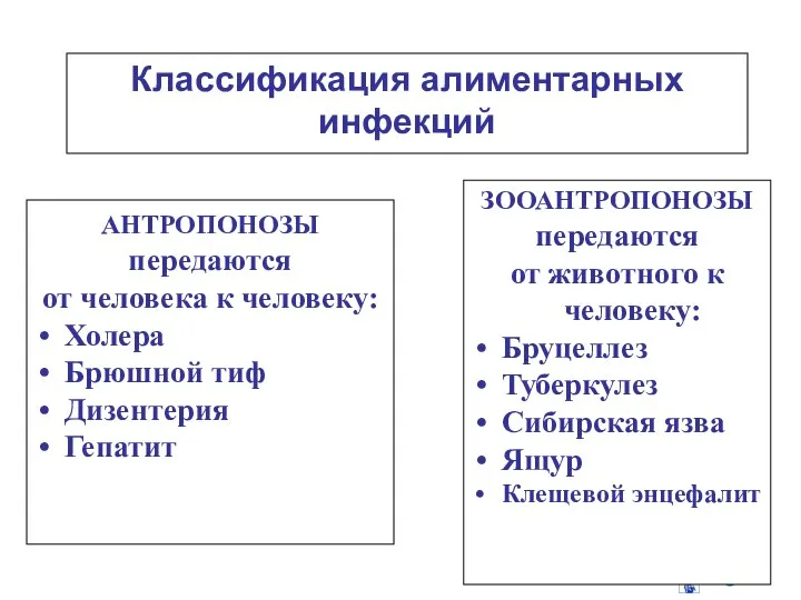 Классификация алиментарных инфекций АНТРОПОНОЗЫ передаются от человека к человеку: Холера Брюшной