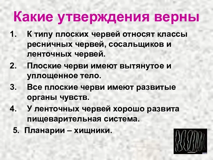 Какие утверждения верны К типу плоских червей относят классы ресничных червей,