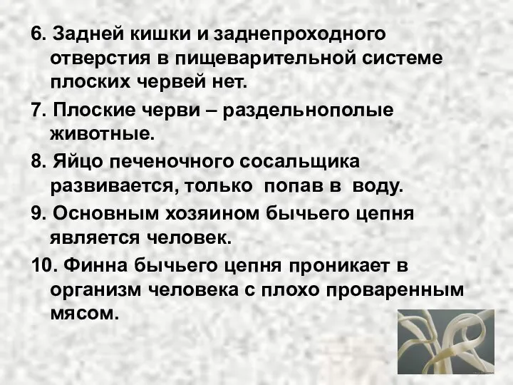 6. Задней кишки и заднепроходного отверстия в пищеварительной системе плоских червей