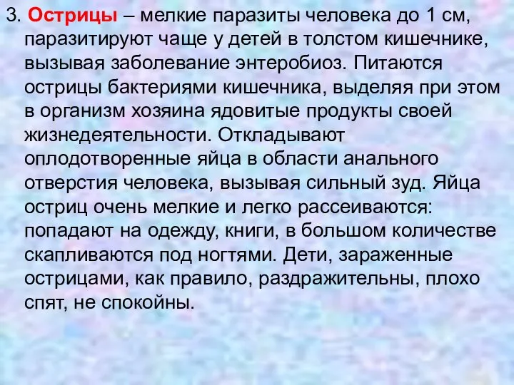 3. Острицы – мелкие паразиты человека до 1 см, паразитируют чаще