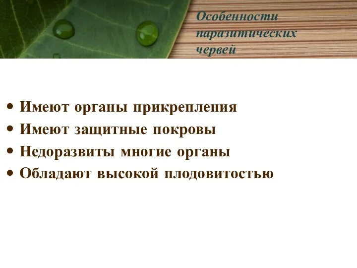 Особенности паразитических червей Имеют органы прикрепления Имеют защитные покровы Недоразвиты многие органы Обладают высокой плодовитостью