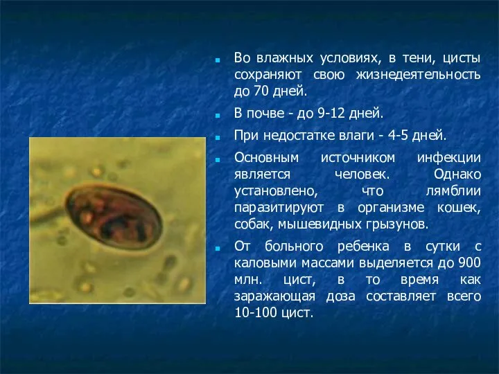 Во влажных условиях, в тени, цисты сохраняют свою жизнедеятельность до 70