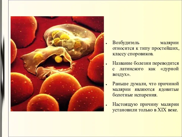 Возбудитель малярии относится к типу простейших, классу споровиков. Название болезни переводится