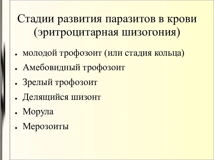 Стадии развития паразитов в крови (эритроцитарная шизогония)‏ молодой трофозоит (или стадия