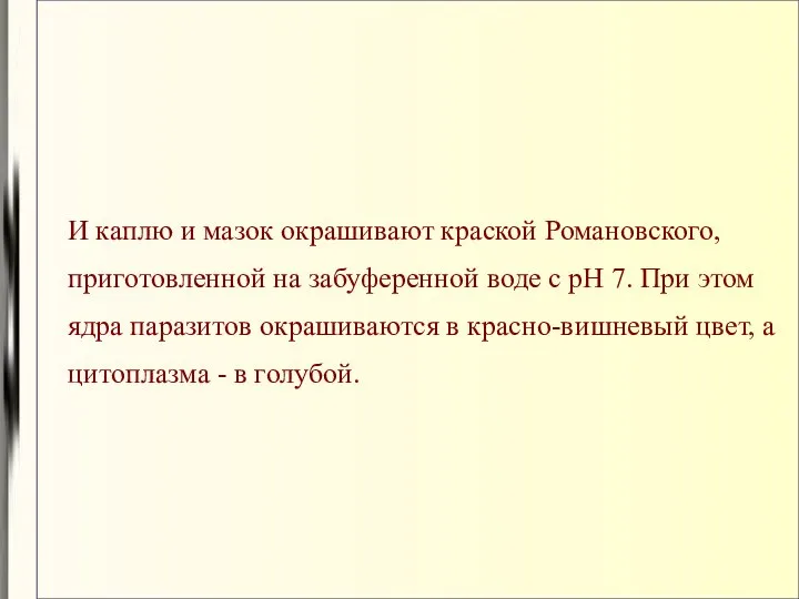 И каплю и мазок окрашивают краской Романовского, приготовленной на забуференной воде