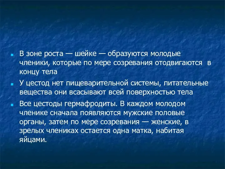 В зоне роста — шейке — образуются молодые членики, которые по