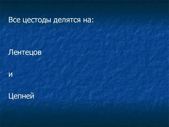 Все цестоды делятся на: Лентецов и Цепней