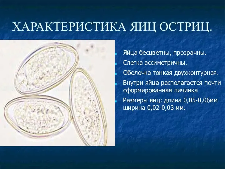 ХАРАКТЕРИСТИКА ЯИЦ ОСТРИЦ. Яйца бесцветны, прозрачны. Слегка ассиметричны. Оболочка тонкая двухконтурная.