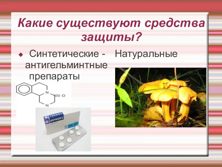 Какие существуют средства защиты? Синтетические - антигельминтные препараты Натуральные