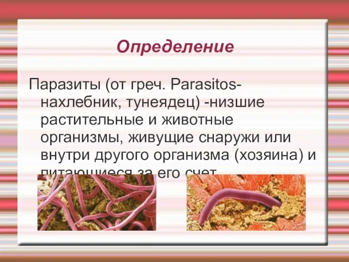 Определение Паразиты (от греч. Parasitos-нахлебник, тунеядец) -низшие растительные и животные организмы,