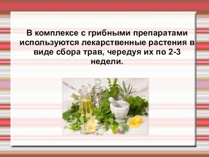 В комплексе с грибными препаратами используются лекарственные растения в виде сбора