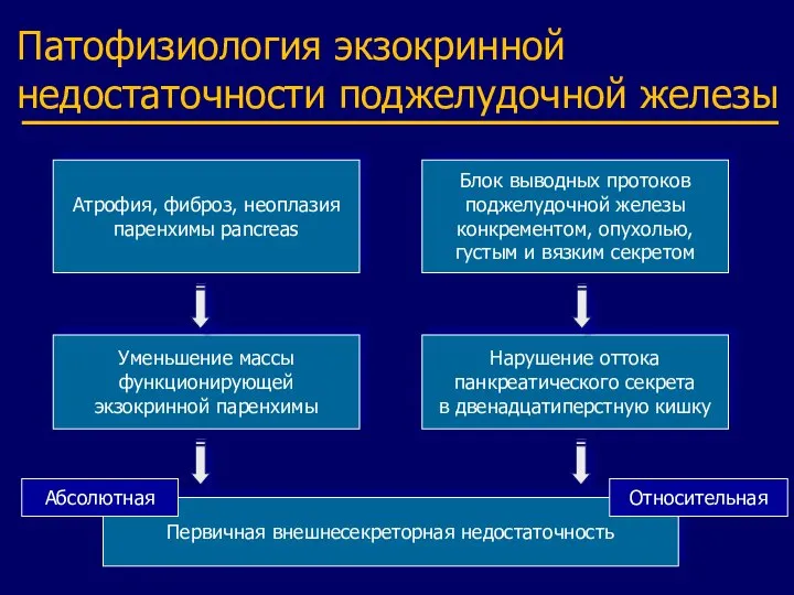 Патофизиология экзокринной недостаточности поджелудочной железы Уменьшение массы функционирующей экзокринной паренхимы Атрофия,