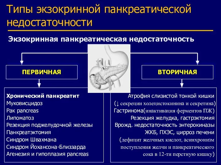 Экзокринная панкреатическая недостаточность ПЕРВИЧНАЯ ВТОРИЧНАЯ Хронический панкреатит Муковисцидоз Рак pancreas Липоматоз