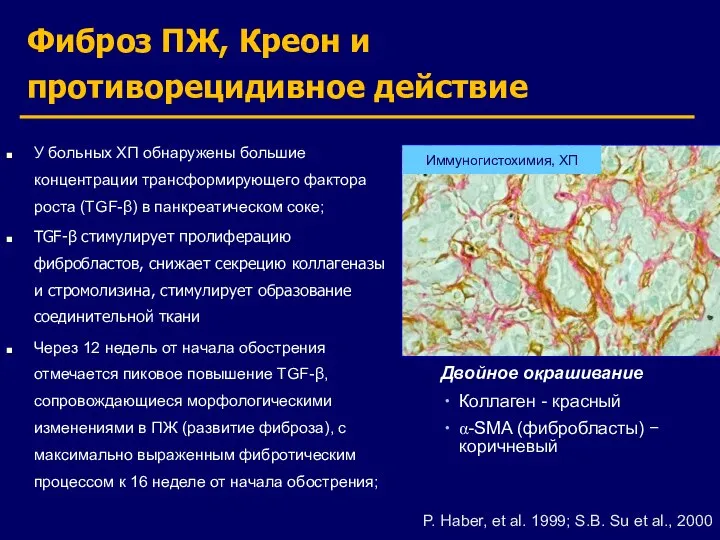 Фиброз ПЖ, Креон и противорецидивное действие У больных ХП обнаружены большие