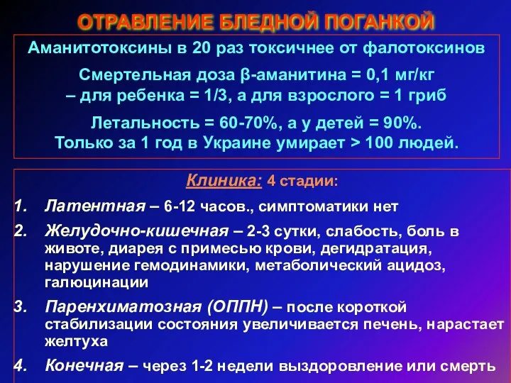 ОТРАВЛЕНИЕ БЛЕДНОЙ ПОГАНКОЙ Аманитотоксины в 20 раз токсичнее от фалотоксинов Смертельная