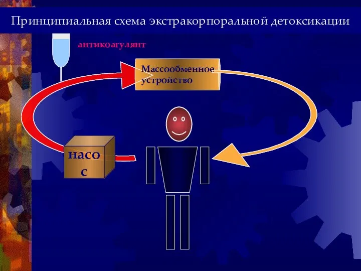 антикоагулянт насос Массообменное устройство Принципиальная схема экстракорпоральной детоксикации