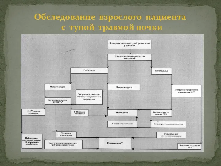 Обследование взрослого пациента с тупой травмой почки