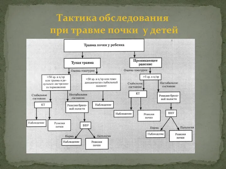 Тактика обследования при травме почки у детей