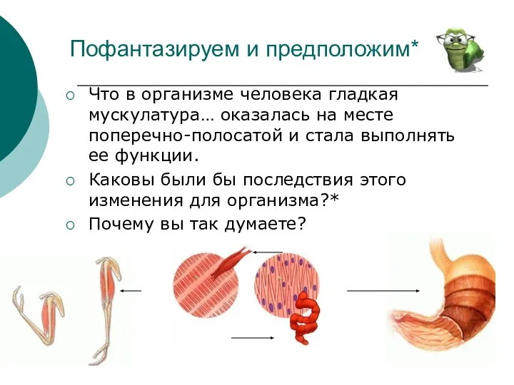 Пофантазируем и предположим* Что в организме человека гладкая мускулатура… оказалась на