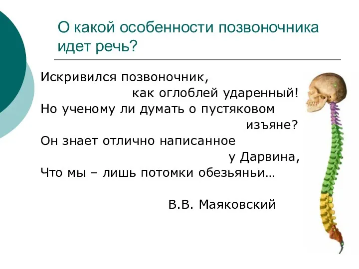 О какой особенности позвоночника идет речь? Искривился позвоночник, как оглоблей ударенный!