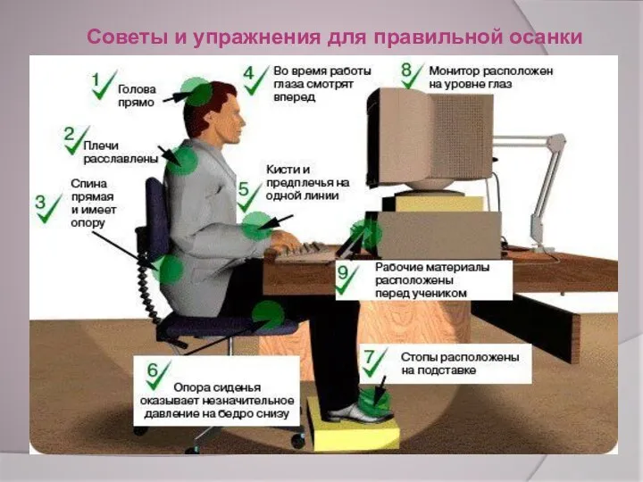 Советы и упражнения для правильной осанки