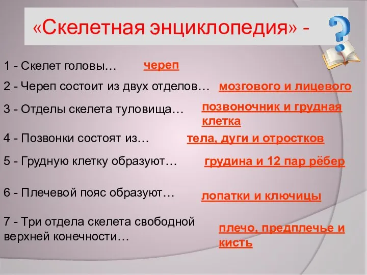 «Скелетная энциклопедия» - 1 - Скелет головы… череп 2 - Череп