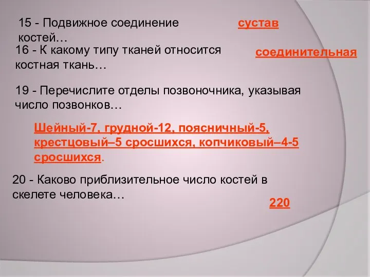 15 - Подвижное соединение костей… сустав 16 - К какому типу