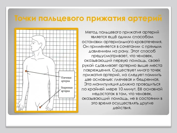 Точки пальцевого прижатия артерий Метод пальцевого прижатия артерий является ещё одним