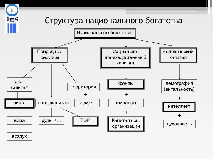 Структура национального богатства Национальное богатство Природные ресурсы Социально- производственный капитал Человеческий