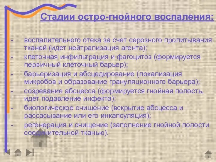 Стадии остро-гнойного воспаления: воспалительного отека за счет серозного пропитывания тканей (идет