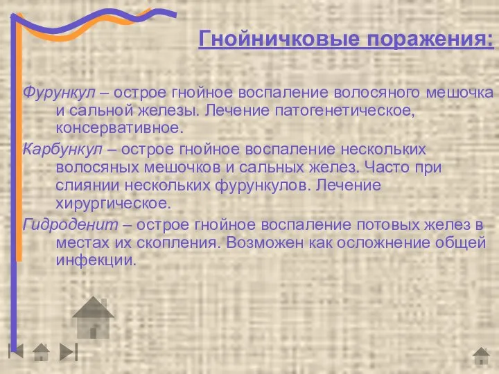 Гнойничковые поражения: Фурункул – острое гнойное воспаление волосяного мешочка и сальной