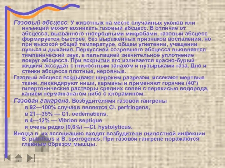 Газовый абсцесс. У животных на месте случайных уколов или инъекций может