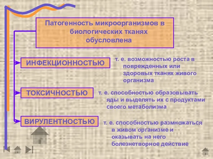 Патогенность микроорганизмов в биологических тканях обусловлена ИНФЕКЦИОННОСТЬЮ ТОКСИЧНОСТЬЮ ВИРУЛЕНТНОСТЬЮ т. е.