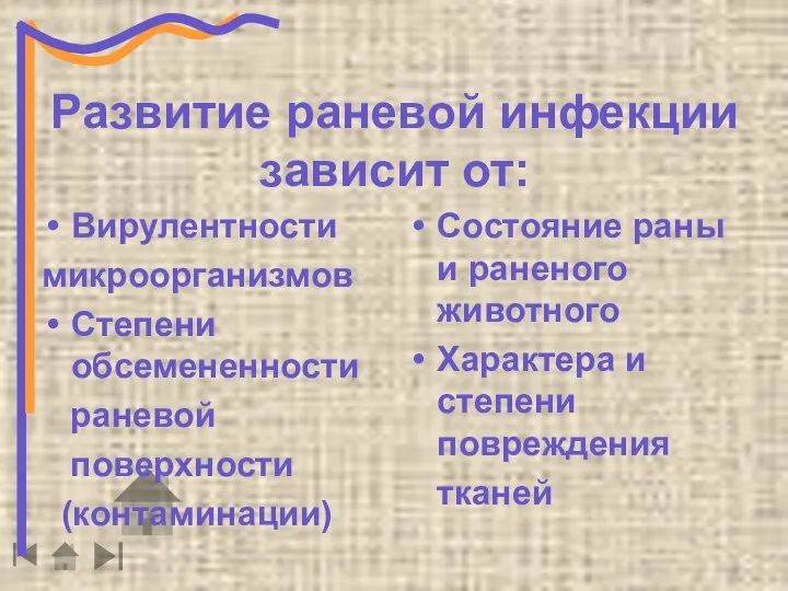 Развитие раневой инфекции зависит от: Вирулентности микроорганизмов Степени обсемененности раневой поверхности