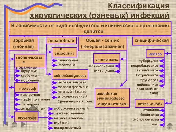 В зависимости от вида возбудителя и клинического проявления делится гнойничковые поражения