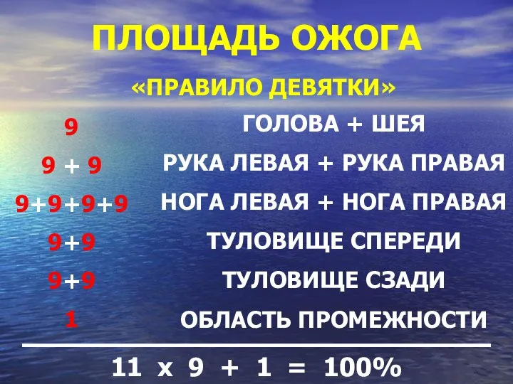 «ПРАВИЛО ДЕВЯТКИ» ПЛОЩАДЬ ОЖОГА 9 9 + 9 9+9+9+9 9+9 9+9